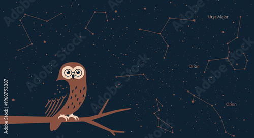 Whimsical Owl Gazing At Star Constellations In Night Sky