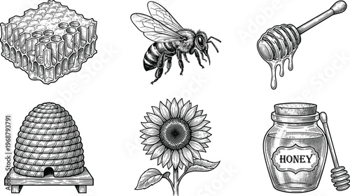 Honey Bee Beekeeping Vector Set. Honey bee beekeeping vector set including hive honey jar sunflower and dipper isolated detailed sketch illustration
