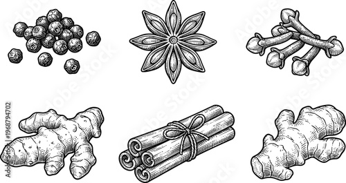 Spices Ingredients Sketch Vector Set. Hand drawn spices ingredients vector set including ginger cinnamon pepper and star anise isolated detailed sketch illustration