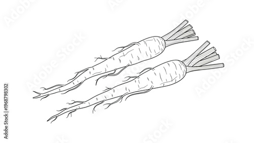 Assortment of golden brown bakery items including bread loaves, croissants, pretzels, and a pizza on a dark background.