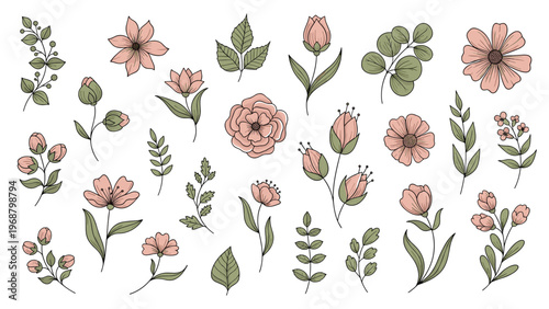 Large collection of hand drawn pink flowers and green leaves in a delicate vintage style for botanical and garden illustrations.