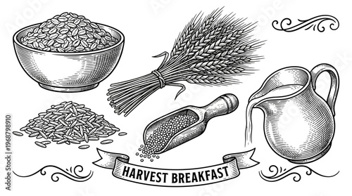 A vintage illustration depicts a healthy harvest breakfast with a bowl of oats, wheat stalks, a scoop of grains, and a pitcher of milk.