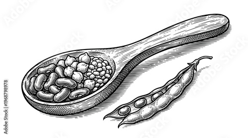 A wooden spoon filled with various types of beans and chickpeas, next to a single bean pod.
