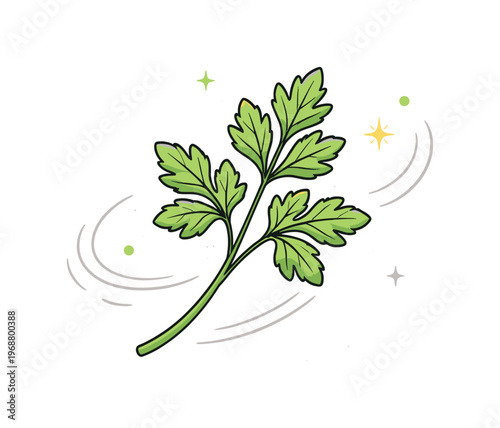 Herb garnish element. Minimal herb sprig isolated as design focus, light motion lines emphasizing shape and