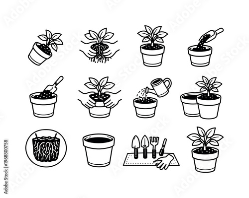 Plant repotting process. Line outline icon set of Plant repotting process: removing plant from pot, loosening