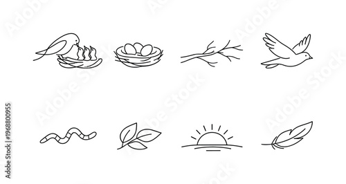 BIRD FEEDING CHICKS IN NEST. Minimalistic set one-line drawing parent bird feeding chicks, nest with eggs,