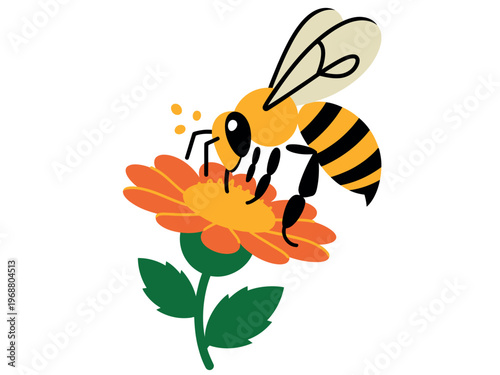 A cartoon bee collecting pollen from a vibrant orange flower with green leaves on a white background