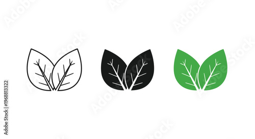 Three stylized leaf icons in varying shades and detail levels Vector