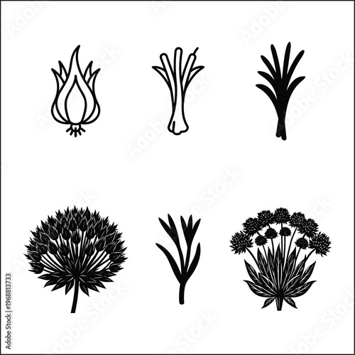 Chive Herb and Allium Flower Silhouettes Collection