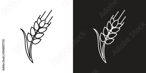 golden wheat stalks isolated on white and black backgrounds vector illustration