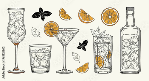The illustration shows various glasses and a bottle filled with drinks and garnished with oranges and herbs.