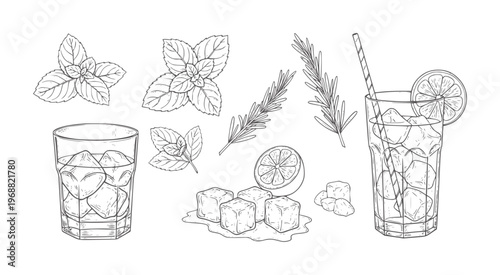 Hand drawn cocktail ingredients and drinks with ice and citrus mint rosemary lemon