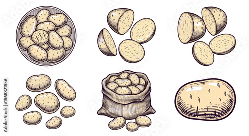 Fresh Raw Potato Set with Whole Cut Slices and Sack Hand Drawn Illustration