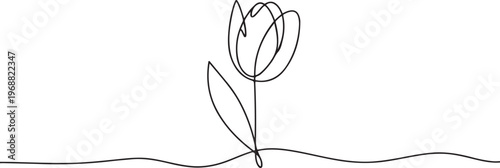 Minimalist one line tulip flower drawing elegant continuous line vector. one line Icon drawing