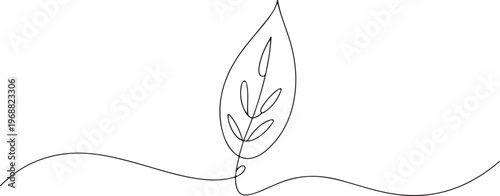 White water lily flower with yellow center and green leaves floating on dark pond water Nymphaea white petals