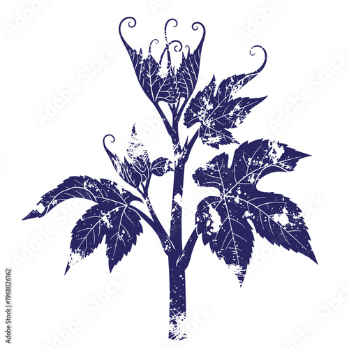Dark blue silhouette of a grape vine branch with jagged leaves and curling tendrils featuring a distressed weathered texture on a white background