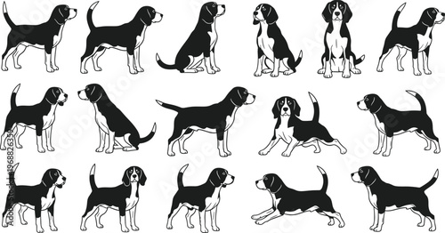 Stylized black and white beagle silhouettes in varied poses, creative dog illustration, minimal vector artwork concept showing canine posture, movement, and behavior