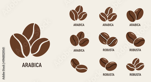Different Types of Coffee Beans Arabica and Robusta Variety Icons on Isolated White Background