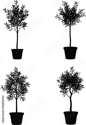 Set of Olive Tree Silhouettes in Flower Pots, Mediterranean Plants Vector Art for Interior Design