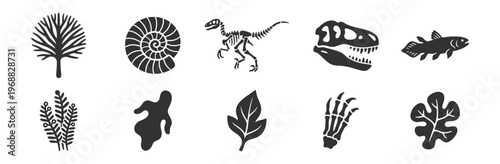 prehistoric fossils and plants vector collection on transparent background