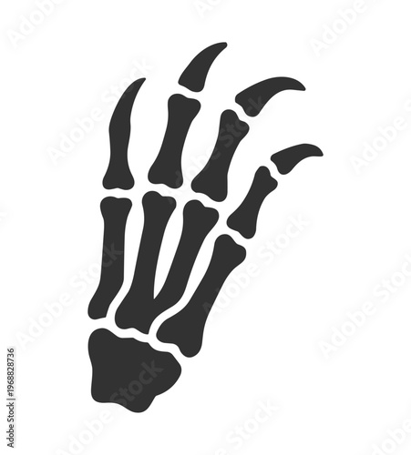 dinosaur claw skeleton bones isolated on transparent background