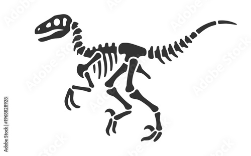 dinosaur skeleton vector illustration on transparent background