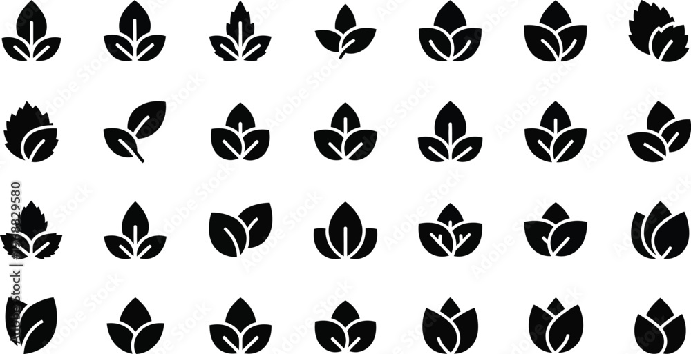 Obraz premium Collection of black silhouette leaf icons a botanical design for graphic projects