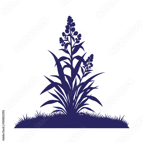 Dark blue silhouette of a flowering plant with pointed leaves growing from a patch of grass isolated on a white background