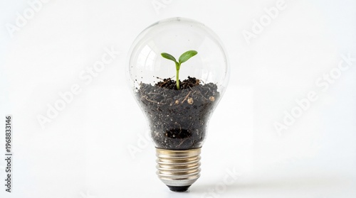 Small Green Plant Sprout Growing Inside Glass Light Bulb for Ecology Concept