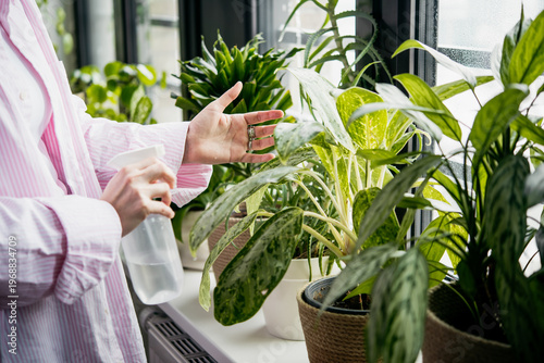 Young woman takes care of her home plants. Home gardening concept.