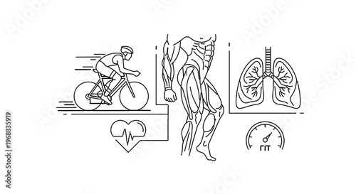 A vector graphic illustration of a human body with various fitness and health related icons