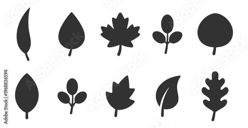 set of black leaf silhouettes vector illustration on transparent background