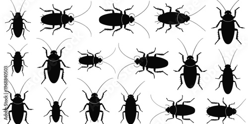 Cockroach silhouettes vector set featuring various insect poses and angles, isolated cockroach icons on white background for pest control design, entomology study, and graphic illustration