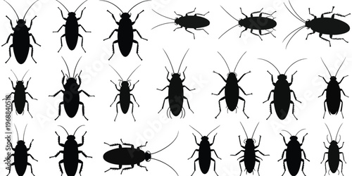 Cockroach silhouettes vector set featuring various insect poses and angles, isolated cockroach icons on white background for pest control design, entomology study, and graphic illustration