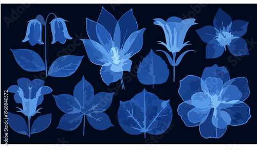 X Ray Botanical Flowers Blue Glowing Leaves Digital Illustration