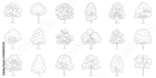 Collection of eighteen detailed black and white tree outlines, featuring various deciduous and coniferous trees, hand drawn line art vector set isolated on white background