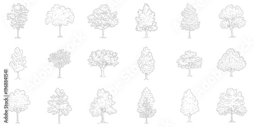 Collection of eighteen detailed black and white tree outlines, featuring various deciduous and coniferous trees, hand drawn line art vector set isolated on white background