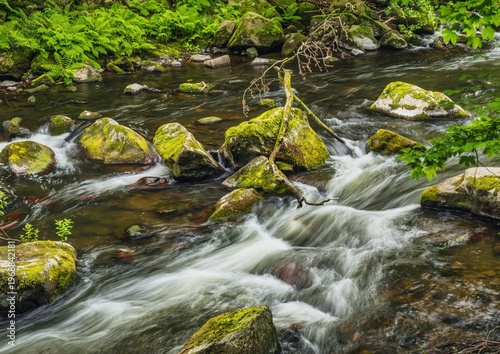 A photograph of the wild Bode river in the Harz nature reserve.