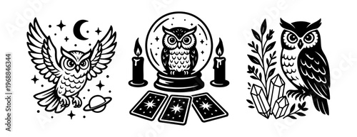 Set of owl illustrations with mystical and vintage elements.