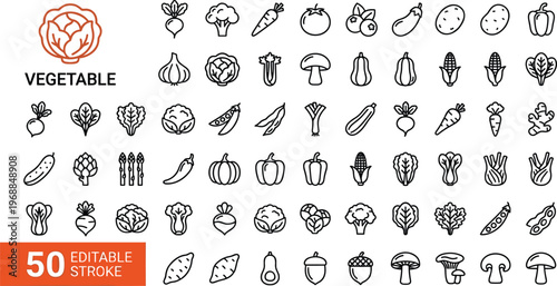 Detailed Organic Vegetable Vector Icon Set Featuring Fresh Produce Line Art with Editable Strokes for Healthy Eating and Culinary Design