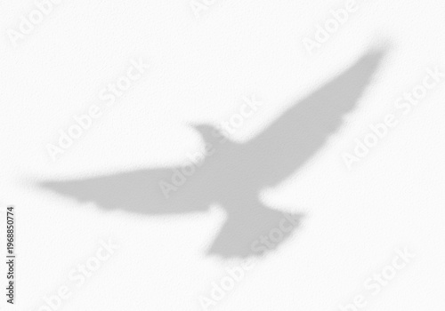 Dove flying in the sky shadow overlay effect, gobo light transparent isolated.
