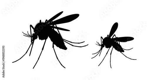 Two mosquitoes depicted in a stark black silhouette illustration