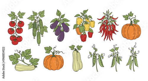 A peaceful woman is meditating deeply in the full lotus pose (Padmasana) on a yoga mat, with her hands in a mudra, promoting serenity and mindfulness.