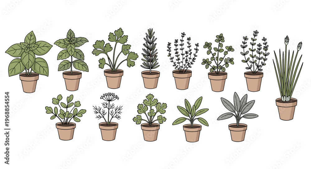 Fototapeta premium A vibrant collection of aromatic herbs, including basil, mint, rosemary, thyme, oregano, chives, parsley, dill, and sage, in small pots.