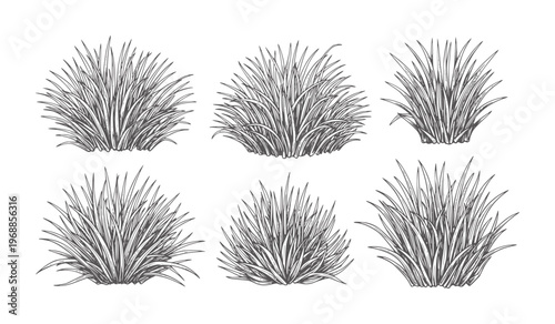 Six monochrome of grassy tussocks arranged in two rows clump grey