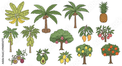 A vibrant colored illustration showcasing a rich and diverse collection of tropical fruit trees and plants, featuring coconuts, bananas, pineapples, papayas, and mangoes.