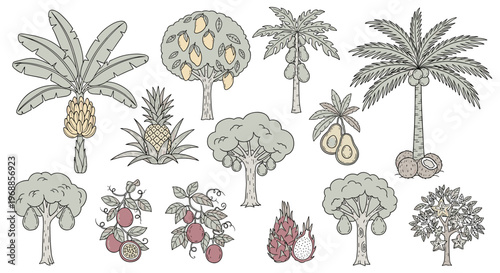 A delightful collection of hand-drawn tropical fruit trees and plants, showcasing a variety of exotic produce for a vibrant design.