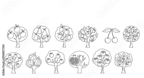 A lovely collection of various fruit trees, depicted solely through clean and simple hand-drawn black and white outlines, perfect for educational designs.