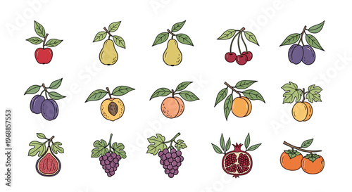 A lovely assortment of various individual fruits, elegantly depicted on branches and stems in a charming hand-drawn style with soft, appealing colors.