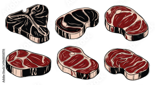 Illustration of various cuts of raw beef steak showcasing marbling and textures